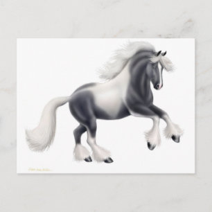 Gypsy Vanner-hästryckarkort Vykort