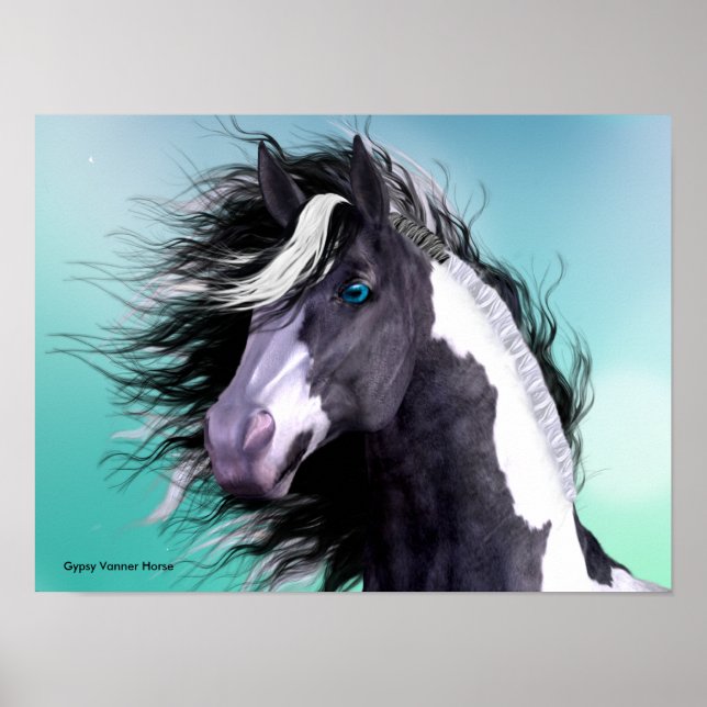 Gypsy Vanner Horse 16 x 12 Poster (Framsidan)