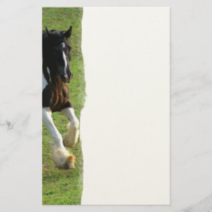Gypsy Vanner Horse Brevpapper