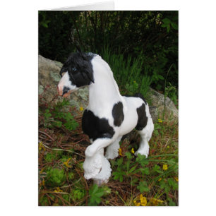 Gypsy Vanner Horse Hälsningskort