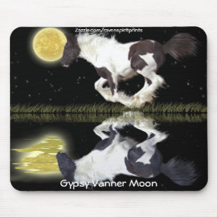 Gypsy Vanner Horse Magic Musmatta
