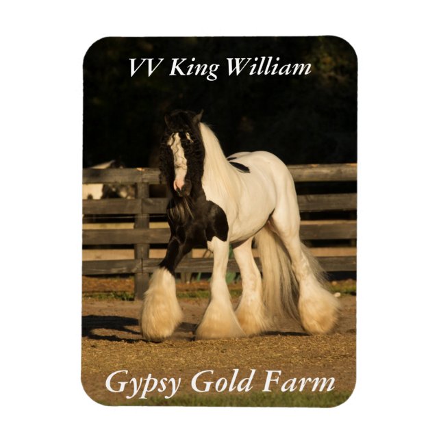 Gypsy Vanner Magnet (Vertikal)