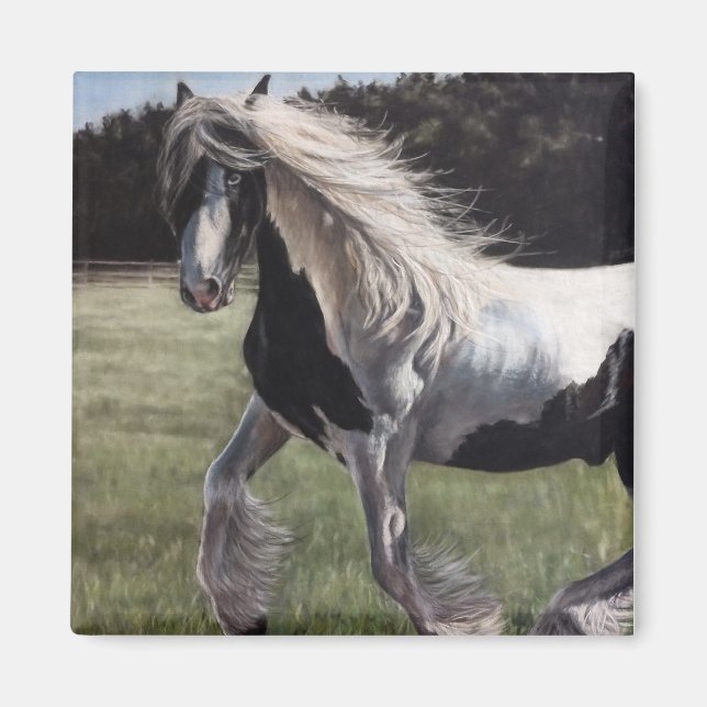 Gypsy vanner pinto häst som springer i fält magnet (Framsidan)