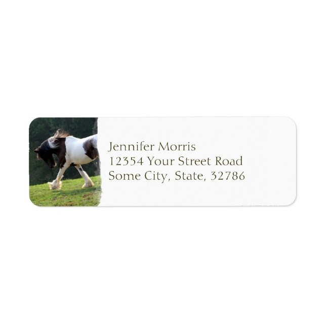 Gypsy Vanner Returadress Etikett (Framsidan)