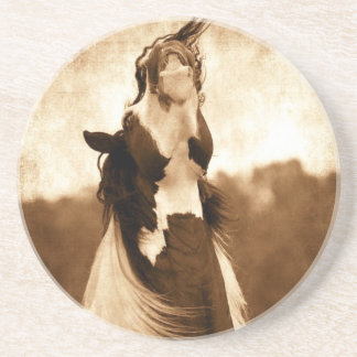 Gypsy Vanner Underlägg Sandsten
