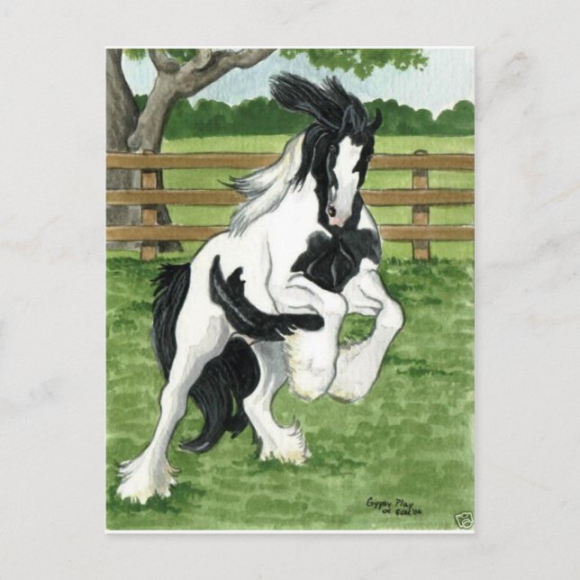 Gypsy Vanner vid uppspelning av Horse Art Vykort (Framsida)