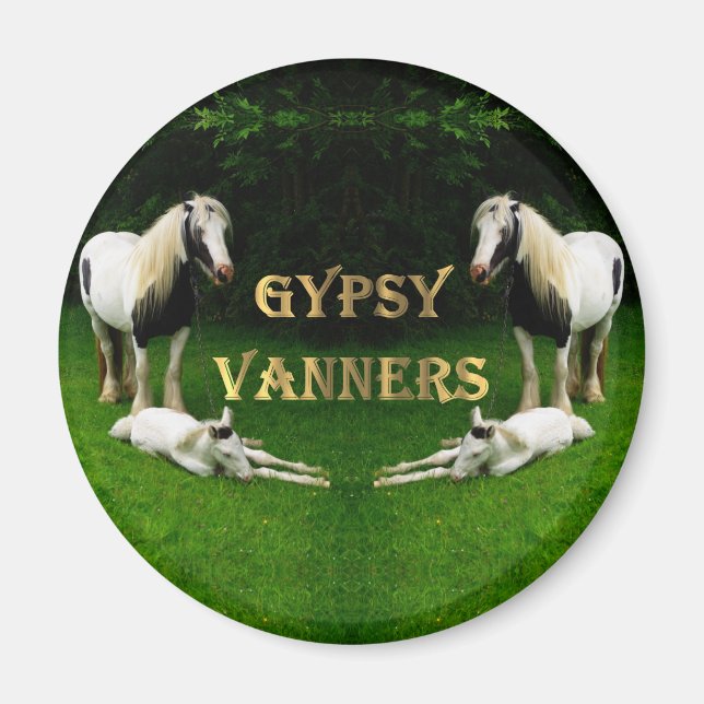 Gypsy Vanners Magnet (Framsidan)