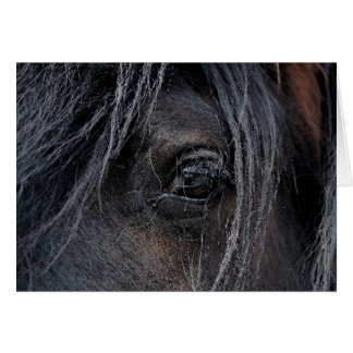 Gypsy Vision II OBS Kort