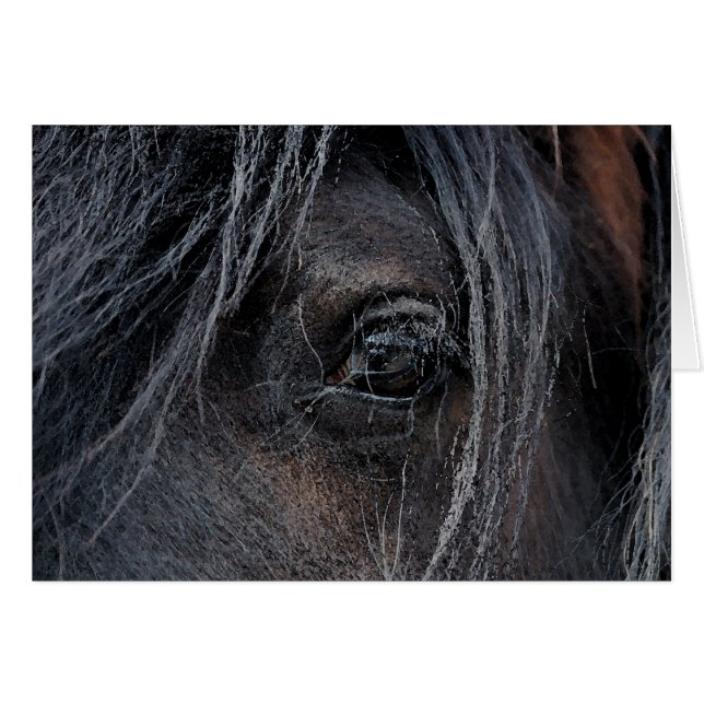 Gypsy Vision II OBS Kort (Framsidan Horizontal)