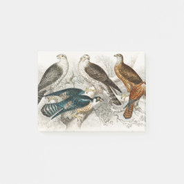 Gyr Falcon, Goshawk, Kite eller Glead, Peregrine Post-it Block
