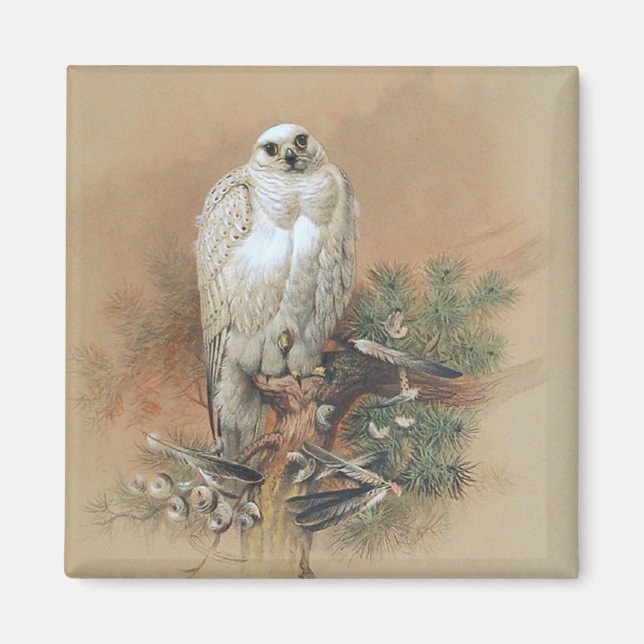Gyrfalcon - 1861 magnet (Framsidan)