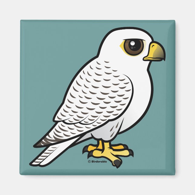 Gyrfalcon Magnet (Framsidan)