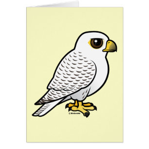 Gyrfalcon OBS Kort