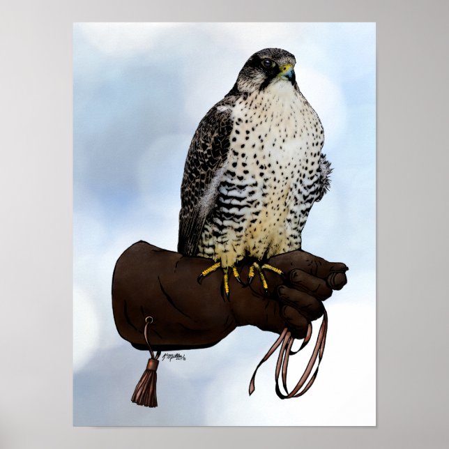 Gyrfalcon på handsken poster (Framsidan)