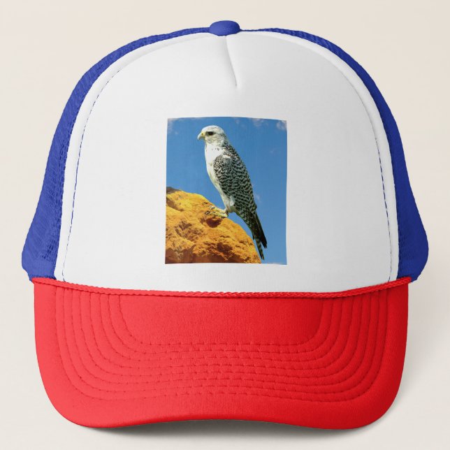 Gyrfalcon perade på sten keps (Framsida)