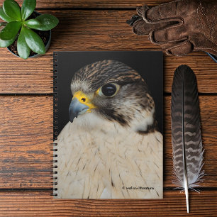 Gyrfalcon Saker Hybrid Falcon Anteckningsbok