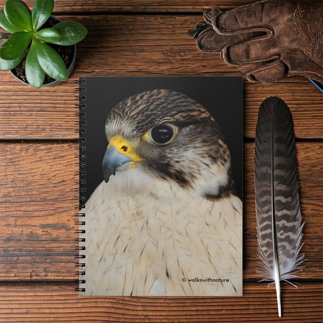 Gyrfalcon Saker Hybrid Falcon Anteckningsbok (Gyrfalcon Saker Falcon Hybrid Journal Cover Photo)