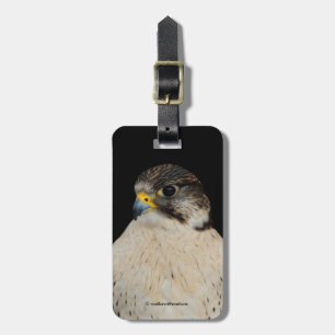 Gyrfalcon Saker Hybrid Falcon Bagagebricka