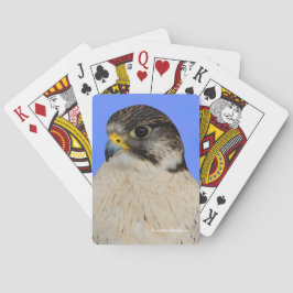 Gyrfalcon Saker Hybrid Falcon Casinokort