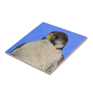 Gyrfalcon Saker Hybrid Falcon Kakelplatta