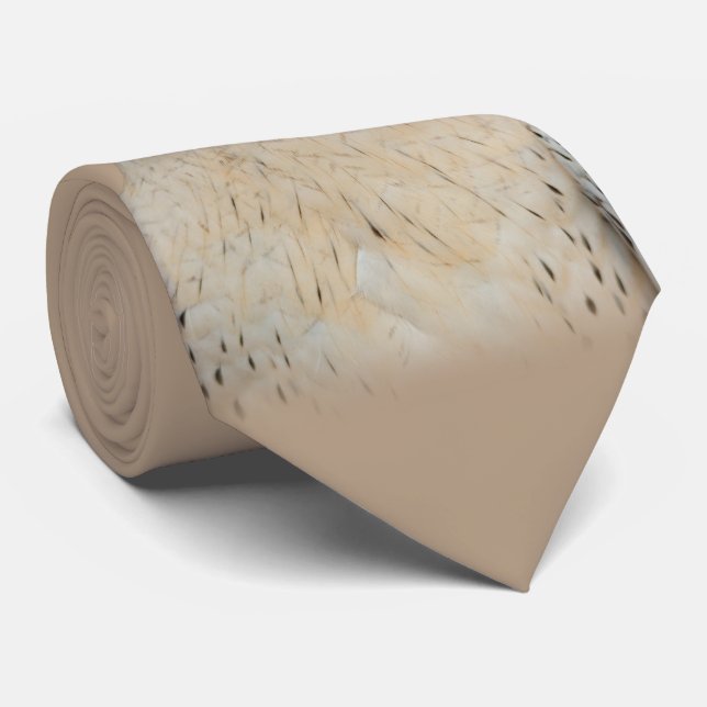 Gyrfalcon Saker Hybrid Falcon Slips (Rullad)