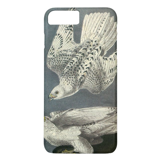 Gyrfalcon vid Audubon Case-Mate iPhone Skal (Baksida)