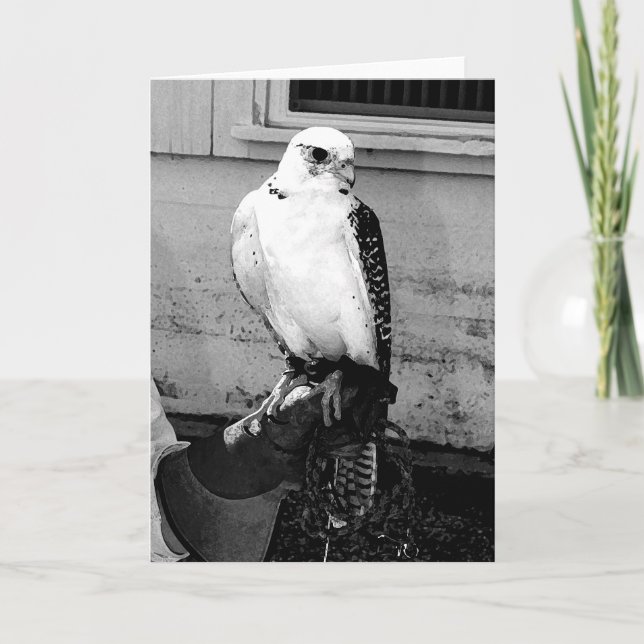 Gyrfalcon vilar på handtagarens gauntlet notecard kort (Framsida)