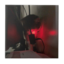 GZ & LTS - TURBO POWER-LÄGE