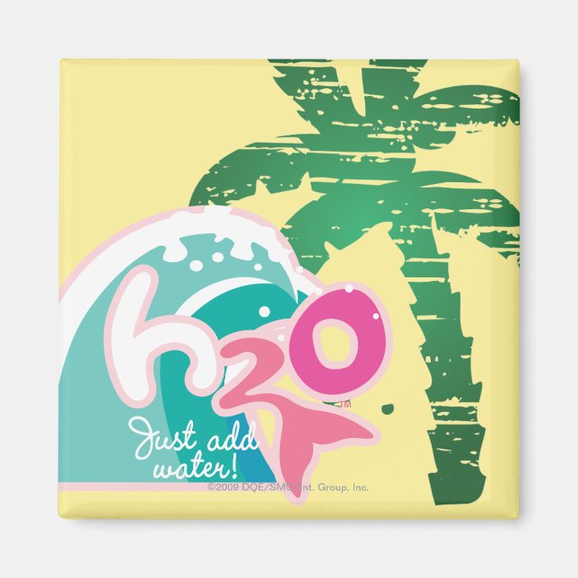 H2O-Logotyp Magnet (Framsidan)
