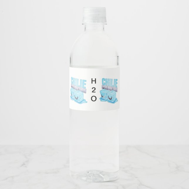 H2O VATTENFLASKOR ETIKETT (Framsida)