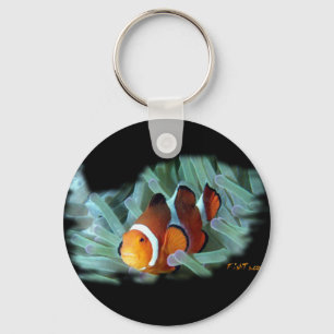 H2Oasis Clownfish Nyckelring
