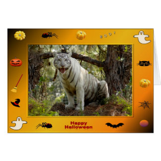 h-218-zabu hälsningskort