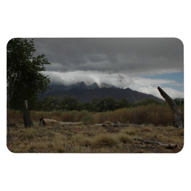 H.A.S. Arts magnet, image Bosque Magnet (Horisontell)