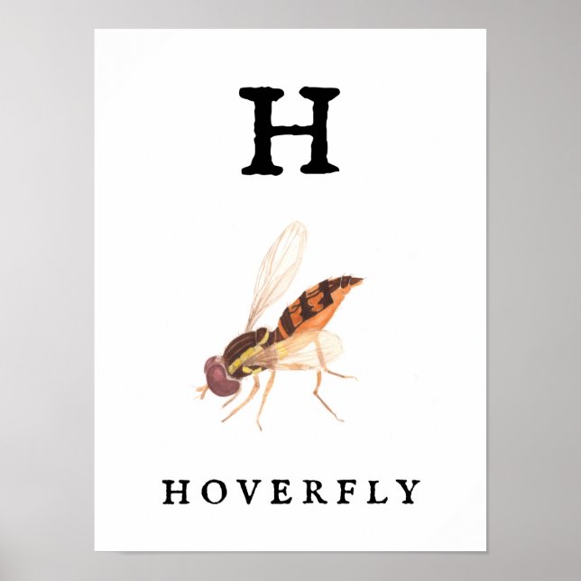 H’ Hoverfly Print, Value Poster Pappert (projektio (Framsidan)