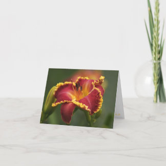 H. Jerry Irritera noterar kortet Kort