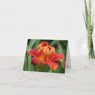 H. Lagrar av kärlek noterar kortet Kort