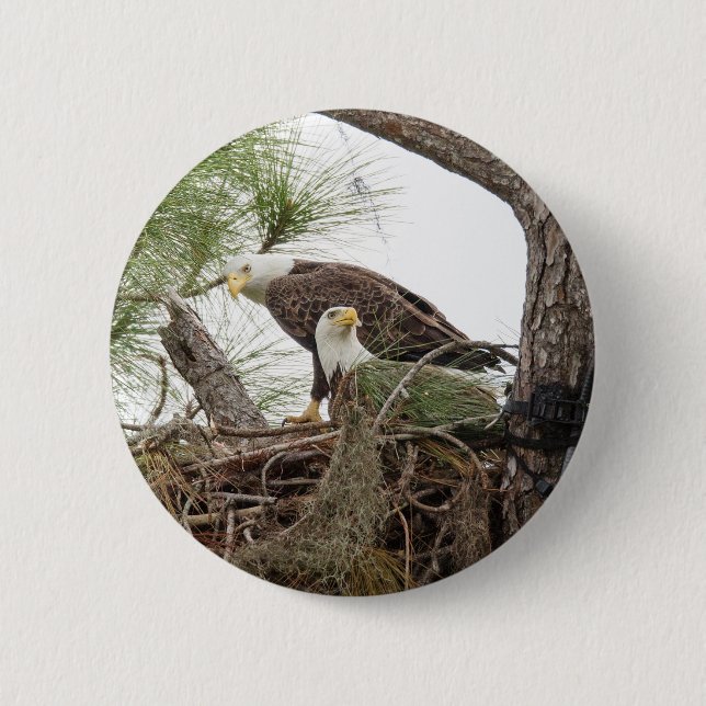 H & M knäppas Knapp (Framsida)