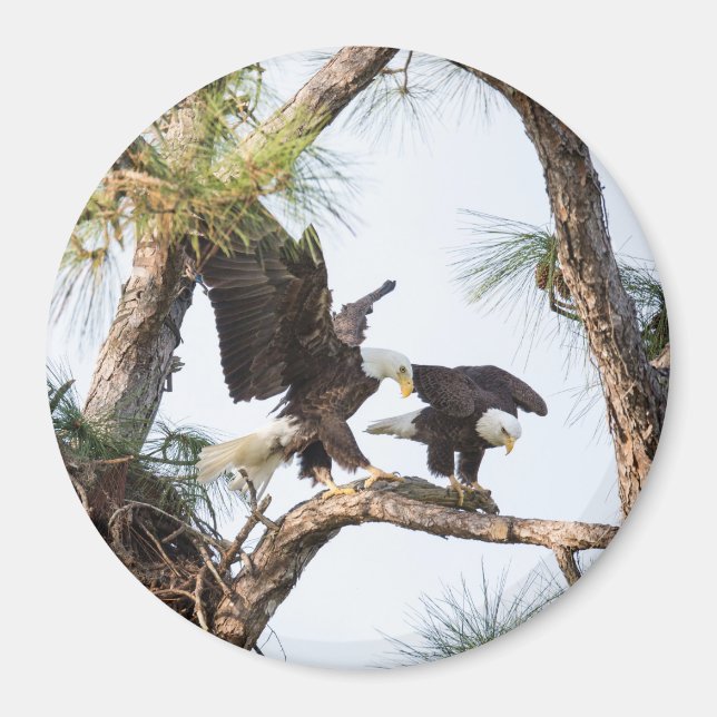 H & M Magnet (Framsidan)