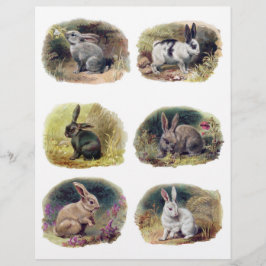 H. Maguire samlar in Vintage Bunnies