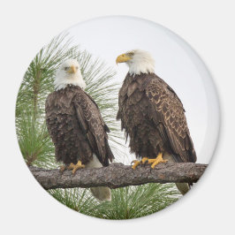 H&O Circle Magnet (olika storlekar tillgängliga)