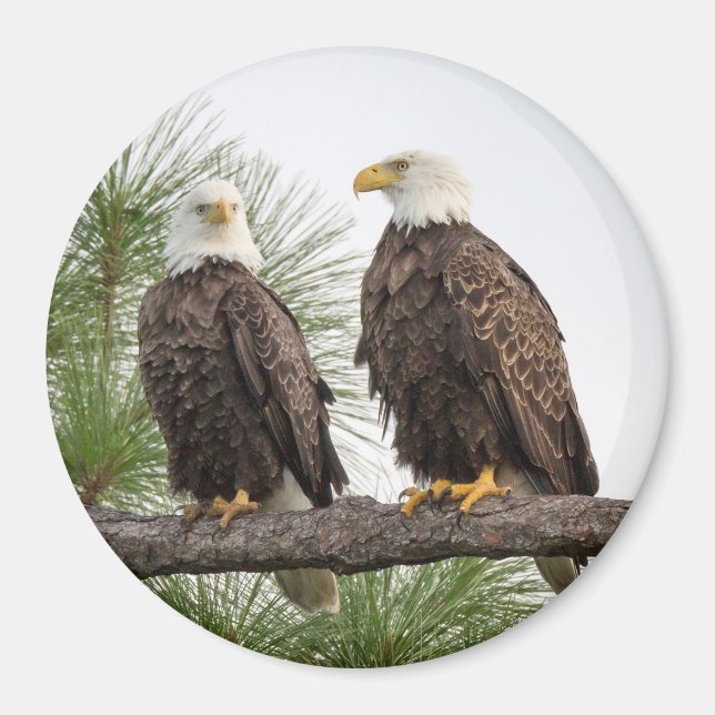 H&O Circle Magnet (olika storlekar tillgängliga) (Framsidan)