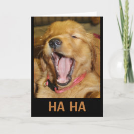 HA att du är äldre än jag som skrattar i hundvalpe Kort