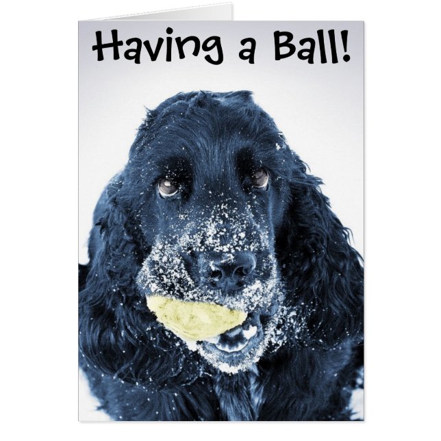 Ha en boll! hälsningskort (Framsidan)