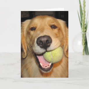 Ha en boll! kort