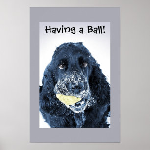 Ha en boll! poster