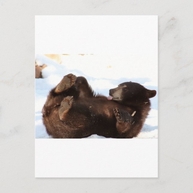 Ha en Bra-dag!!! Vykort (Framsida)