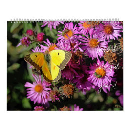 Ha en färgad årskalender kalender