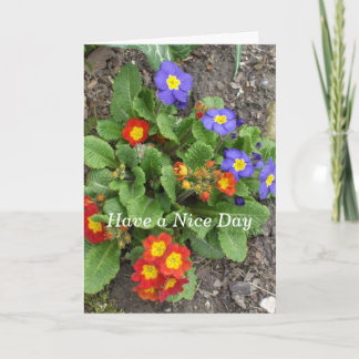 Ha en fin, dagsblandad blomma kort