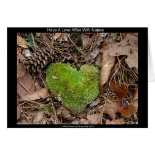 Ha en Kärlek-affär med Nature Moss Heart-gåvor Hälsningskort