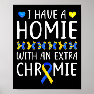 Ha En Kompis Med Ett Extra Kromosom Downs Syndrom Poster